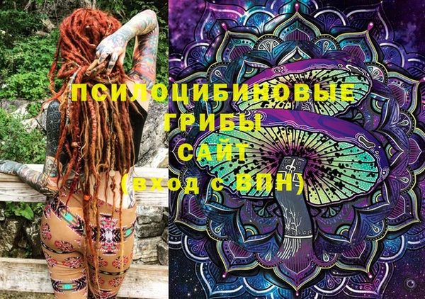 ПСИЛОЦИБИНОВЫЕ ГРИБЫ Вязники