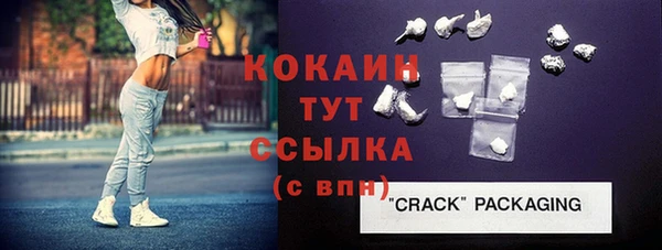 крисы Вязьма