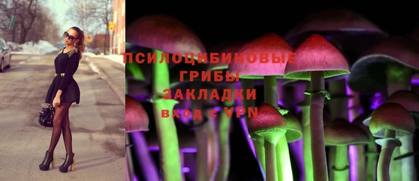 ПСИЛОЦИБИНОВЫЕ ГРИБЫ Вязники