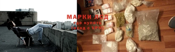 ПСИЛОЦИБИНОВЫЕ ГРИБЫ Вязники