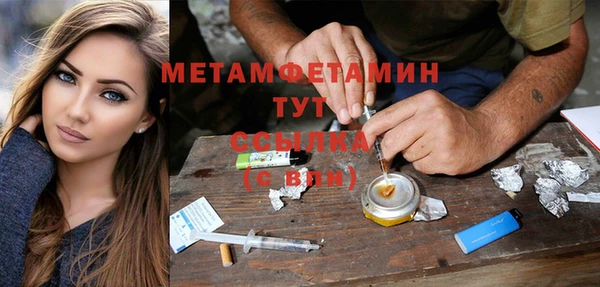 крисы Вязьма