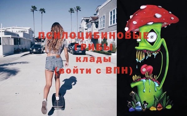 крисы Вязьма