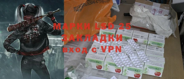 ПСИЛОЦИБИНОВЫЕ ГРИБЫ Вязники