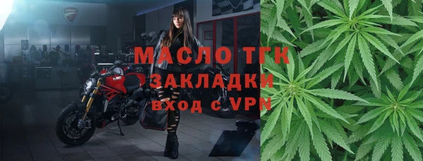 ПСИЛОЦИБИНОВЫЕ ГРИБЫ Вязники