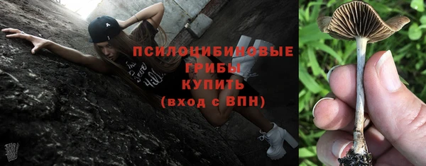 ПСИЛОЦИБИНОВЫЕ ГРИБЫ Вязники